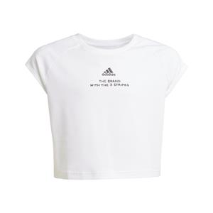 Adidas Jg Jam T-shirt