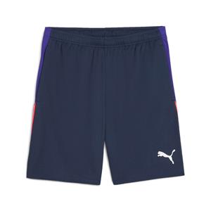 Puma Individual Liga Training Shorts Heren