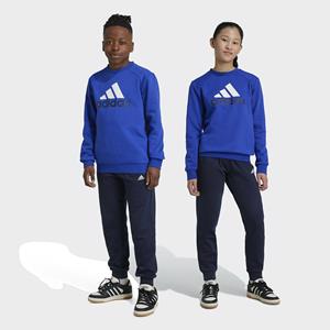 adidas  Jogginganzüge Essentials Big Logo Fleece Jogger Set