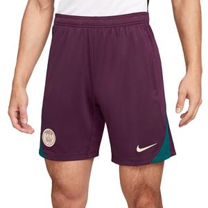 Nike Psg Strike Trainingsshort