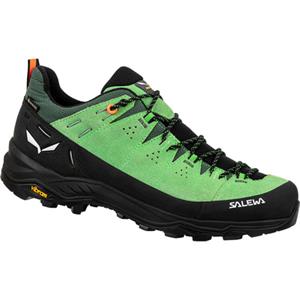 Salewa Heren Alp Trainer 2 GTX Schoenen