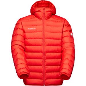 Mammut Heren Waymarker In Hoodie Jas