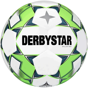 DerbyStar Mini Voetbal Wit groen 4315