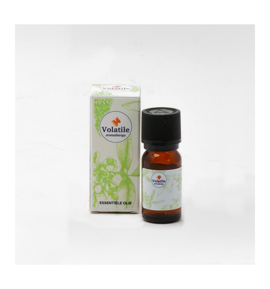 Volatile Arnica CO2-TO