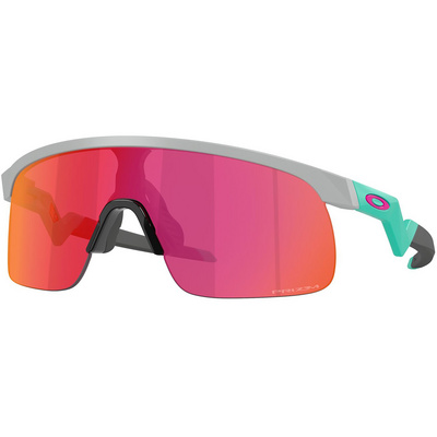 Oakley Resistor Sportbril