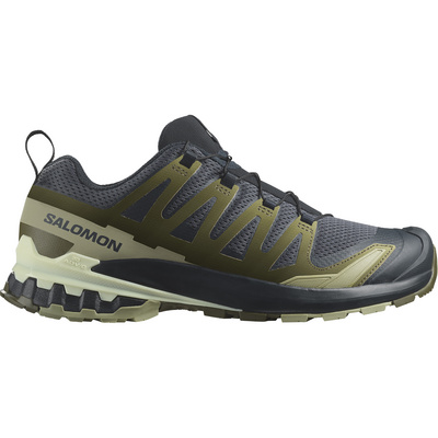 Salomon Heren XA Pro 3D V9 Schoenen