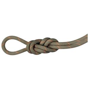 Mammut  9.9 Gym Workhorse Dry Rope - Enkeltouw, boa