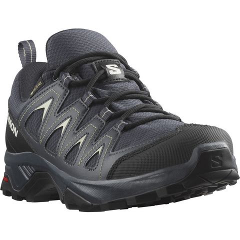 Salomon Wandelschoenen X BRAZE GORE-TEX