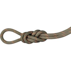 Mammut 9.9 Gym Workhorse Classic Klimtouw