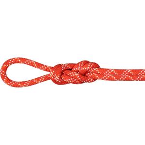 Mammut 9.5 Gym Classic Klimtouw