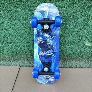 Pearl And Jewels 43cm Kinderen Skateboard Maple Double Rock Skate Board Kinderen Patin Kinderen Skateboarden Cartoon Sticker Skates Kinderen Longboard