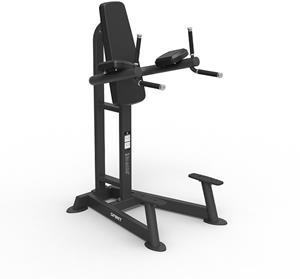 Spirit Fitness Leg Raise, Knee Raise&Dip Station