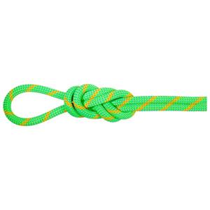 Mammut 8.0 Alpine Eco Dry Klimtouw