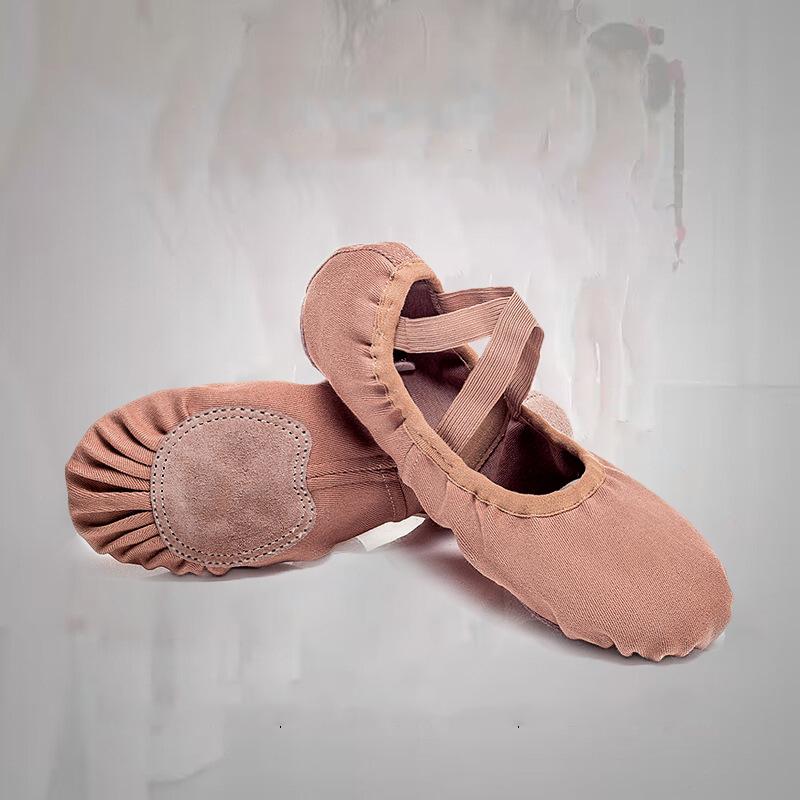 AAFFLL SHOES Dansschoenen Zachte onderkant Vrouwelijke elastische stoffen oefenschoenen Volwassen dansen Speciale veterloze kinderen Cat Claw-schoenen Balletschoenen 24