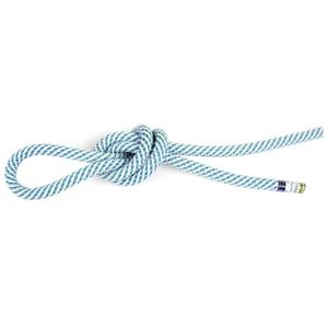 Edelrid  Daku 10.0 - Enkeltouw, snow / bergfreunde