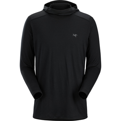 Arcteryx Heren Ionia Hoodie