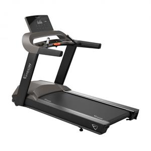 Vision Loopband T600