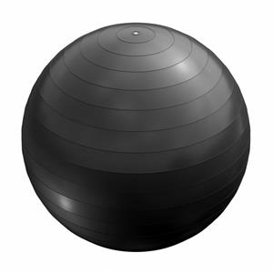Gorilla Sports Fitnessbal Zwart 65 cm incl. pomp
