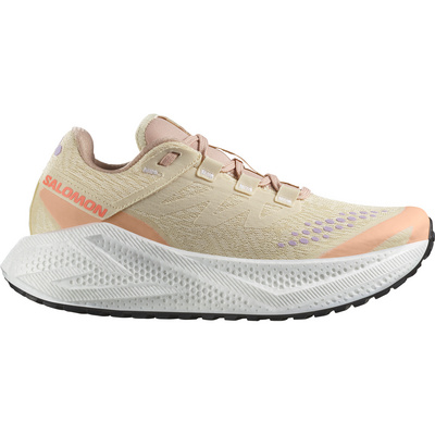 Salomon Dames Aero Glide 3 GRVL Schoenen