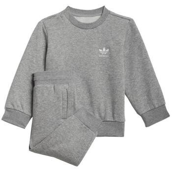 Adidas Trainingspak  -