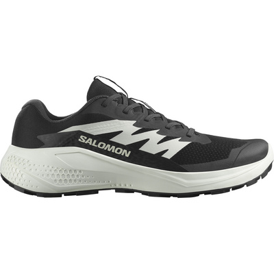 Salomon Heren Alphaglide Schoenen