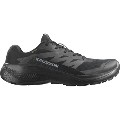 Salomon Heren Alphaglide GTX Schoenen