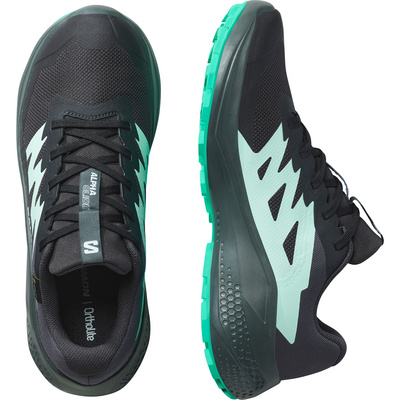 Salomon Dames Alphaglide GTX Schoenen