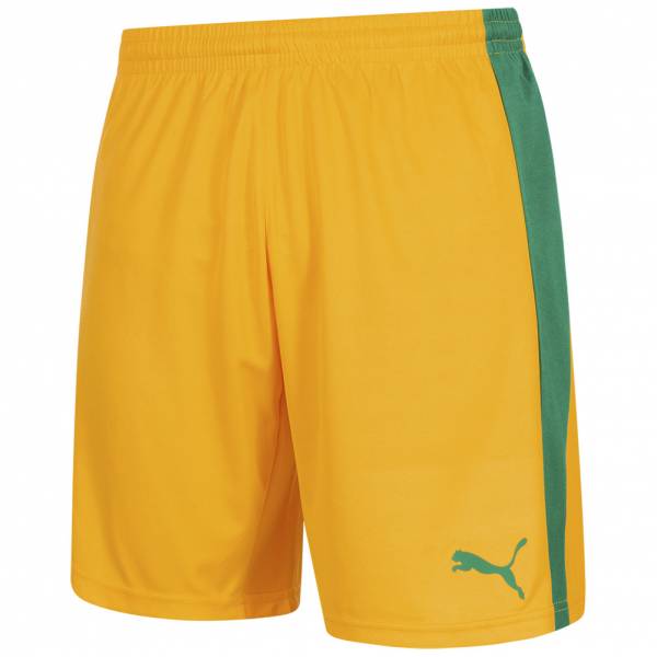 Puma Pitch Heren Shorts met binnenbroek 702075-41