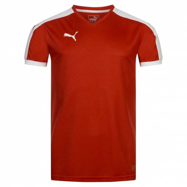 Puma Pitch Heren Shirt 702070-01