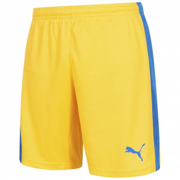 Puma Pitch Heren Shorts met binnenbroek 702075-20