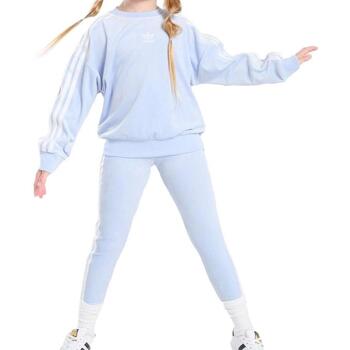 Adidas Trainingspak  -
