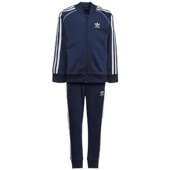 Adidas Trainingspak  -