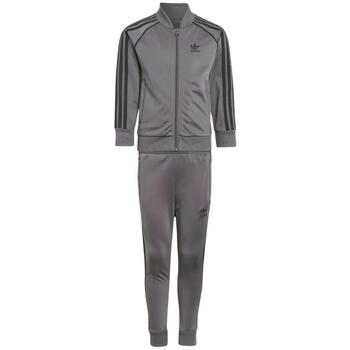 Adidas Trainingspak  -