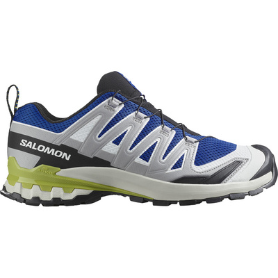 Salomon Heren XA Pro 3D V9 Schoenen