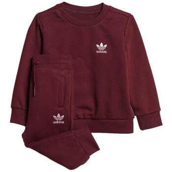 Adidas Trainingspak  -