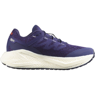 Salomon Dames Aero Glide 3 GRVL Schoenen