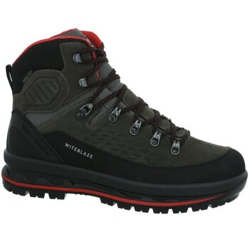 Witeblaze Fitness Schoenen  -