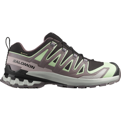 Salomon Dames Xa Pro 3D V9 GTX Schoenen