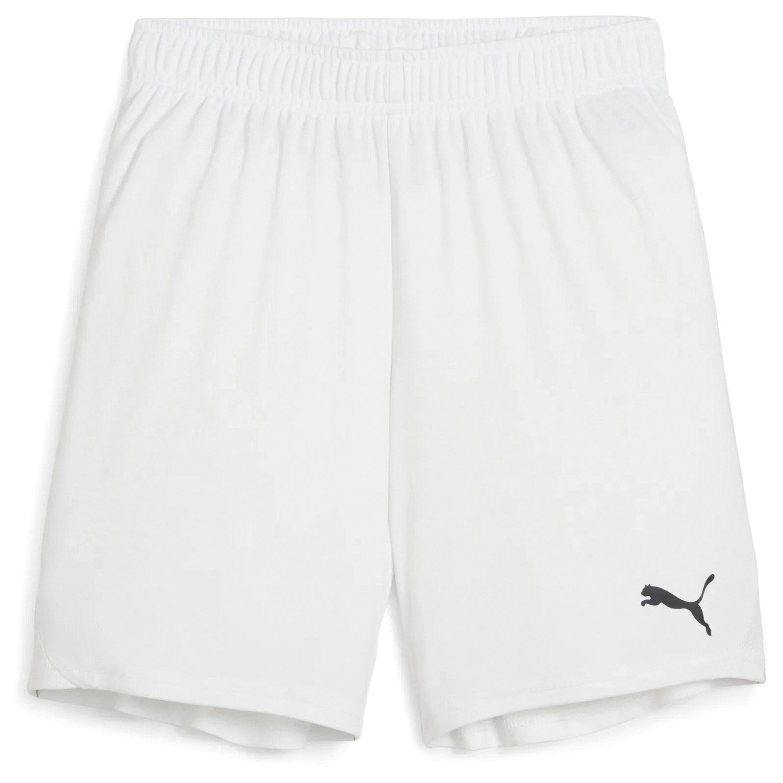 Puma TeamGOAL Short Junior