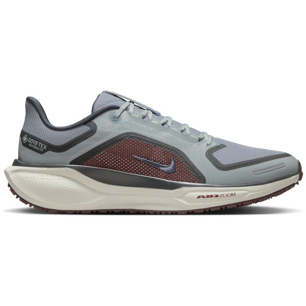Nike Pegasus 41 GTX Heren