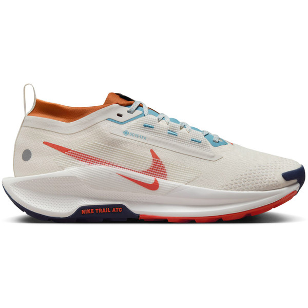 Nike Pegasus Trail 5 GTX Heren