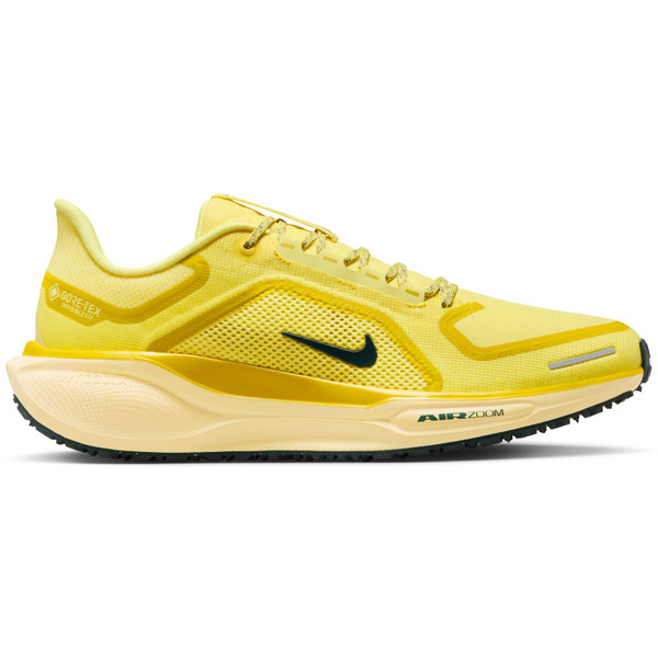 Nike Pegasus 41 GTX Heren