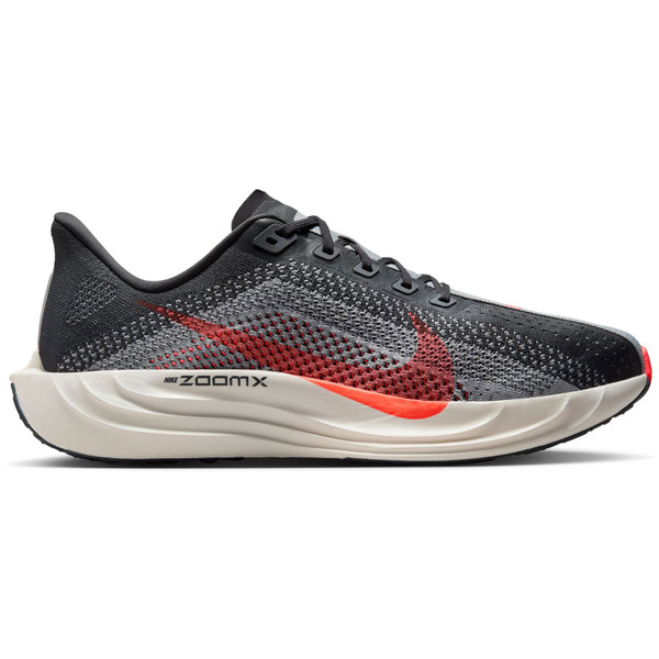 Nike Pegasus Plus Heren
