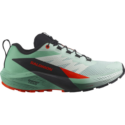 Salomon Dames Sense Ride 5 Schoenen
