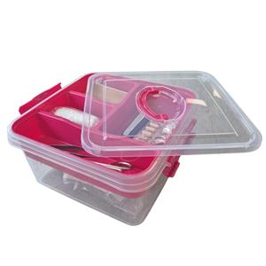 PlasticForte EHBO opbergdoos/medicijnkistje - 5L - rood - opbergbox met vakken - pleisters/verband -