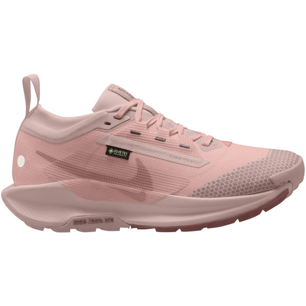 Nike Pegasus Trail 5 GTX Dames