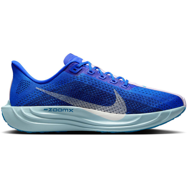 Nike Pegasus Plus CM Heren