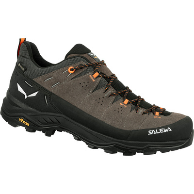Salewa Heren Alp Trainer 2 GTX Schoenen