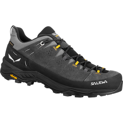 Salewa Heren Alp Trainer 2 GTX Schoenen