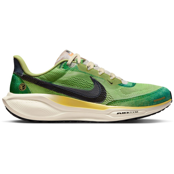 Nike Pegasus 41 SE Heren